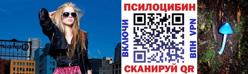 Галлюциногенные грибы MAGIC MUSHROOMS  Купить закладки  Туринск 